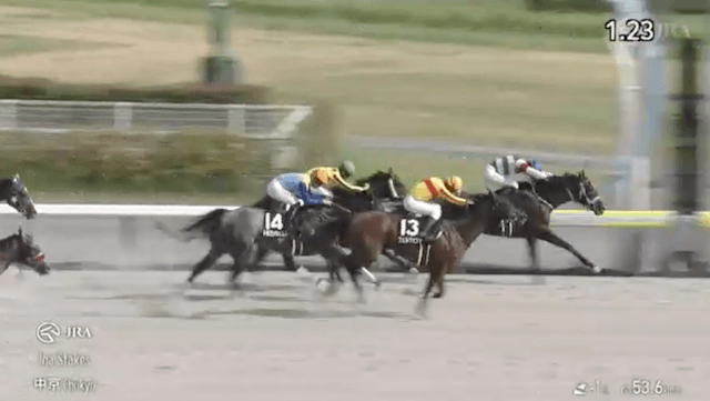 本命　有料予想　レース