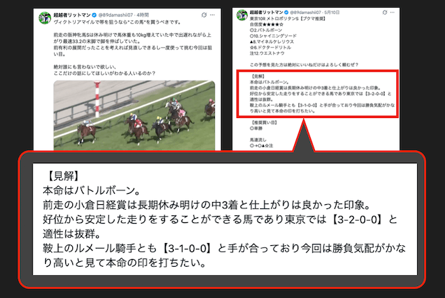 超越者リットマンの見解