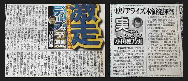 デイリーの競馬コラム