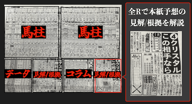 デイリーの本紙予想の見解・根拠