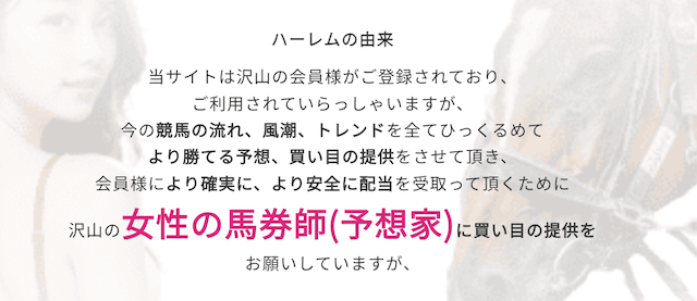 ハーレム競馬　特徴