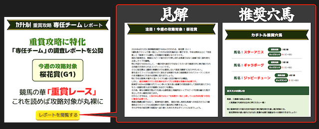カチトルの重賞攻略