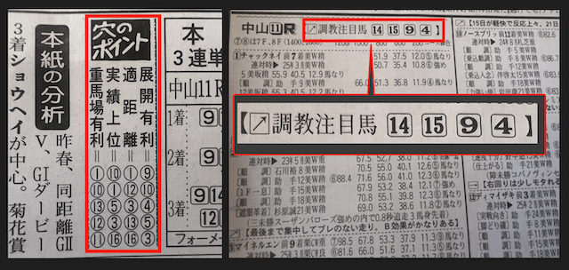 勝馬の穴のポイント・調教注目馬