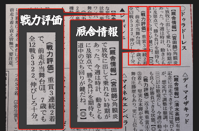 勝馬の厩舎情報・戦力評価