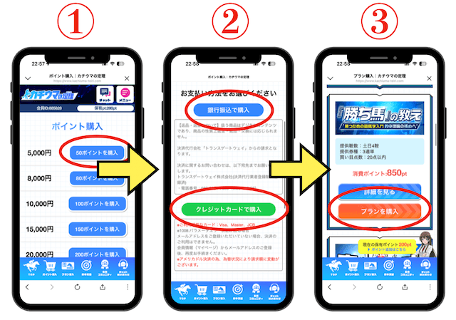 カチウマの定理の有料予想の買い方