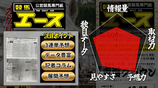 競馬エースのレダーチャート