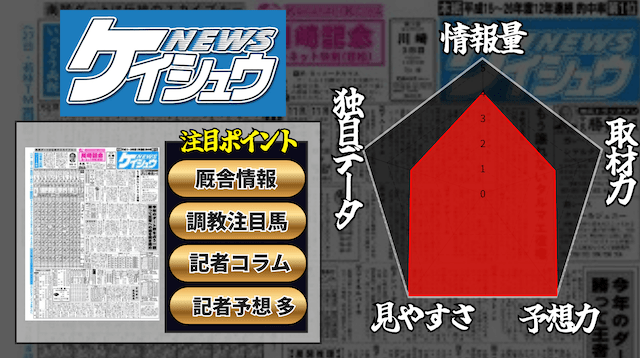 ケイシュウのレダーチャート