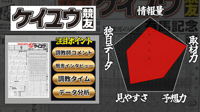 競友のレダーチャート