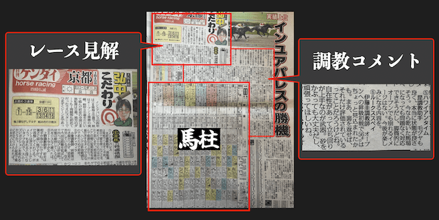 日刊ゲンダイの構成