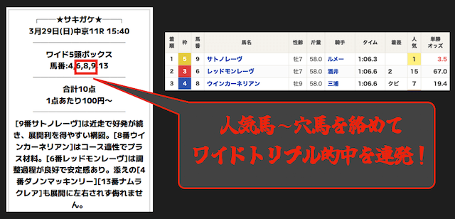サキガケの無料予想の見解