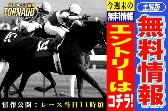 競馬予想旋風トルネード 無料予想