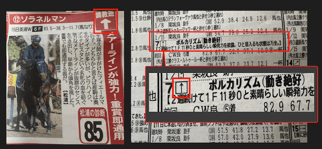 馬サブローの調教評価
