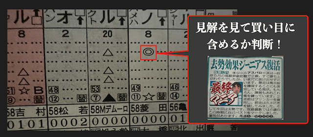 日刊スポーツの印から穴馬も読み解く