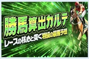 勝馬算出カルテ画像