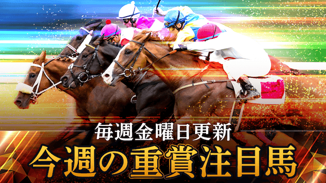 ウマミル無料予想