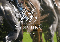 シンクロのサムネイル