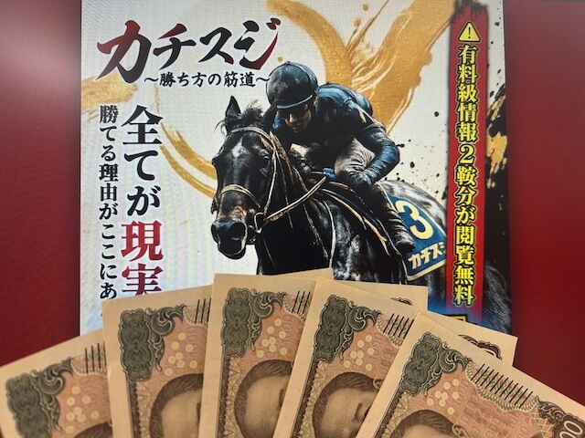競馬予想サイトカチスジの検証に用意した軍資金5万円の画像